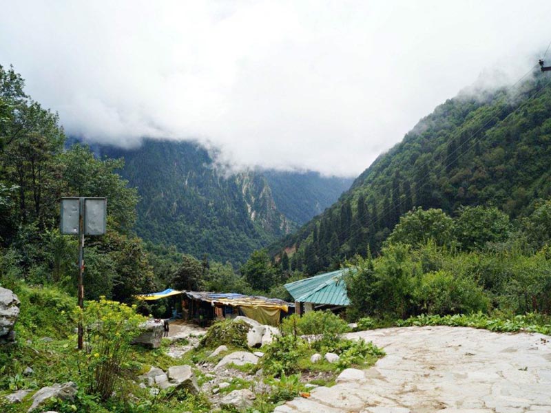 Ghangariya