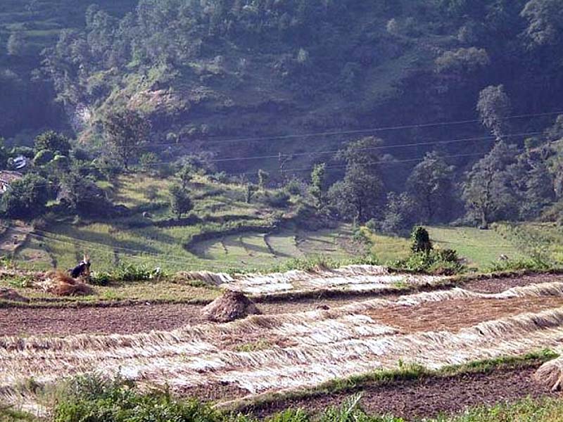 Saggar