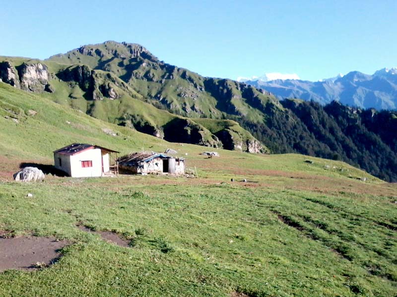 Panar Bugiyal