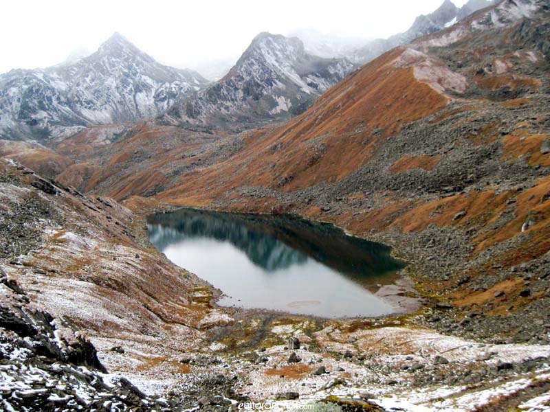 Vasuki Tal