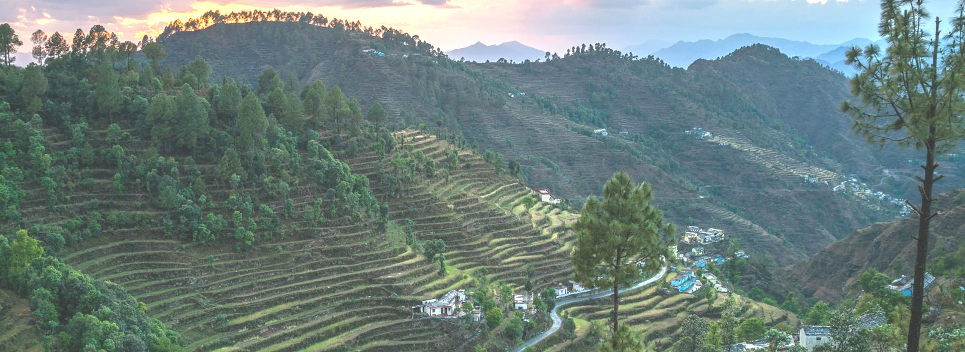 Khirshu